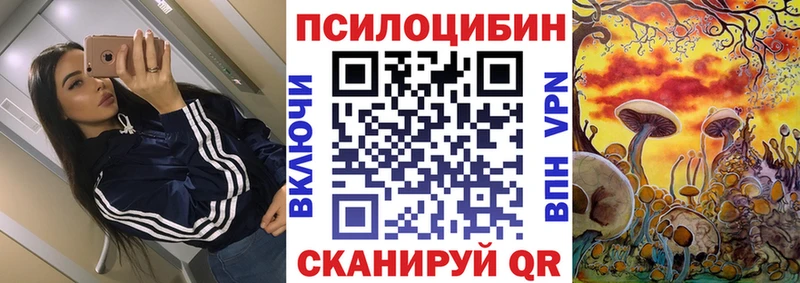 сколько стоит  shop Telegram  Галлюциногенные грибы MAGIC MUSHROOMS  Новоуральск 