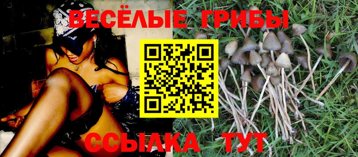 Псилоцибиновые грибы GOLDEN TEACHER Новоуральск